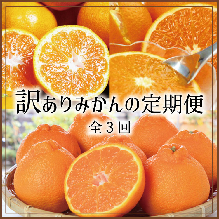 【ふるさと納税】 【3か月定期便】たっぷり届く♪訳ありみかんの定期便