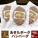 【ふるさと納税】あきたポーク ハンバーグ 180g×9パック【冷凍】豚肉 湯煎 ボイル 個包装 小分け 少量 お試し