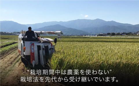 【全6回(月1回)定期便】栽培期間中 農薬不使用 ヒノヒカリ 10kg 糸島市/シーブ [AHC045] 米 定期便