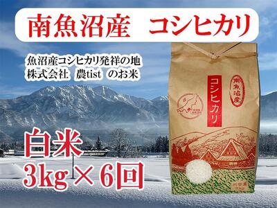 【令和7年産】【定期便 南魚沼産】コシヒカリ 白米3kg×6回