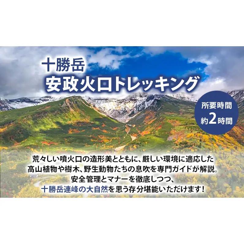 湯元 凌雲閣 【1泊朝食付】宿泊 安政火口 トレッキング 体験 北海道 上富良野 サマー アクティビティ 十勝岳 夏期