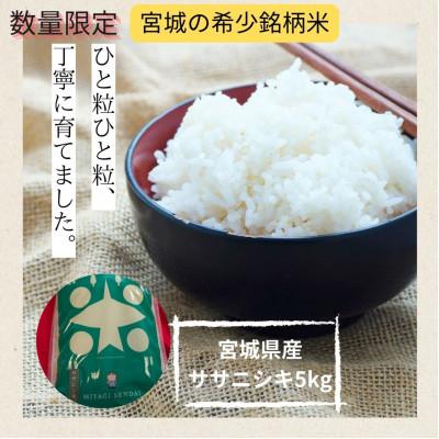 ふるさと納税 宮城県 【令和8年産】宮城県産　ササニシキ 5kg