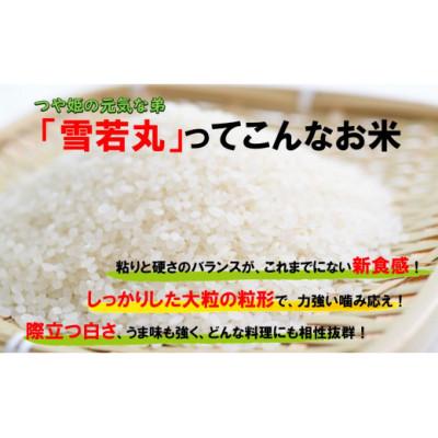 ふるさと納税 飯豊町 人気のブランド米　雪若丸　白米　精米10kg(5kg×2袋)山形県飯豊町産 |  | 01