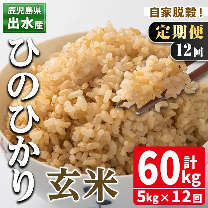  【12回定期便】玄米 ひのひかり 5kg 定期便【田上商店】i663