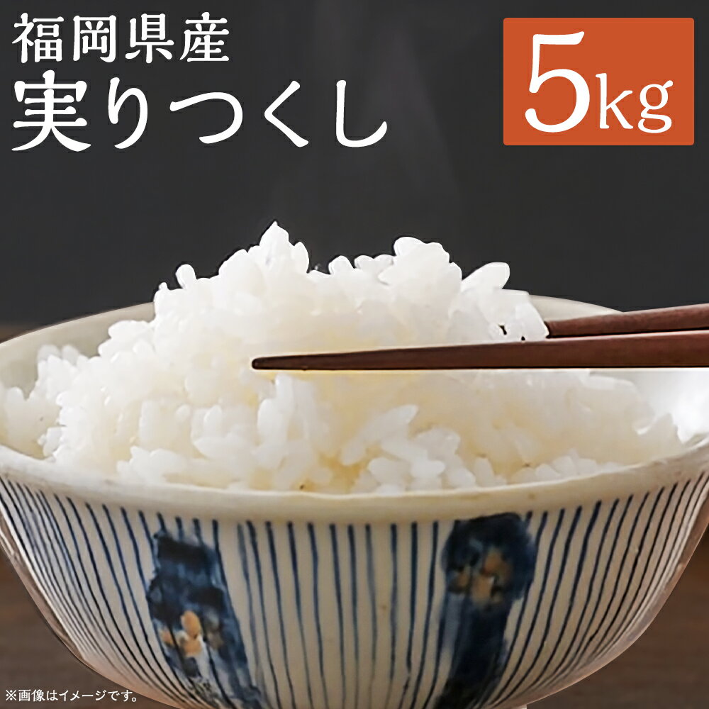 【ふるさと納税】福岡県産 実りつくし 5kg×1袋 米 お米 こめ 白米 精米 ご飯 ごはん おにぎり お弁当 国産 九州産 常温 筑後市 送料無料