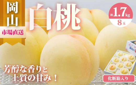 桃 2026年 岡山 白桃 8玉（合計1.7kg以上）化粧箱入り もも モモ 岡山県産 国産 フルーツ 果物 ギフト