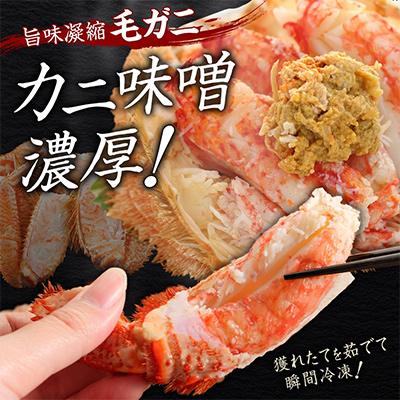 ふるさと納税 弟子屈町 毛蟹 姿 2尾 計700g前後 ボイル 食べ方ガイド・専用ハサミ付 北海道 弟子屈町 2458 |  | 01