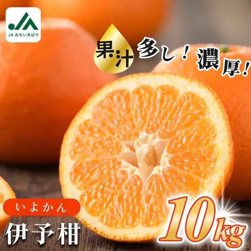 【先行予約】伊予柑 約10kg 愛媛県今治市