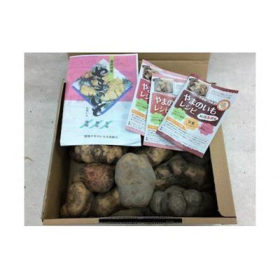ふるさと納税 山口市 徳地やまのいも箱入り2kg(秀) D536 |  | 03