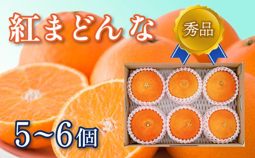 紅まどんな 秀品 5~6個 愛媛県産 西条市 （JA東予園芸またはJA周桑） 【先行予約】 【11月下旬～12月下旬頃発送】｜ まどんな 秀品 紅まどんな 愛媛 マドンナ みかん 果物 フルーツ ジューシー 甘い 高級 ミカン おすすめ 人気 お取り寄せ 愛媛県 西条市 送料無料