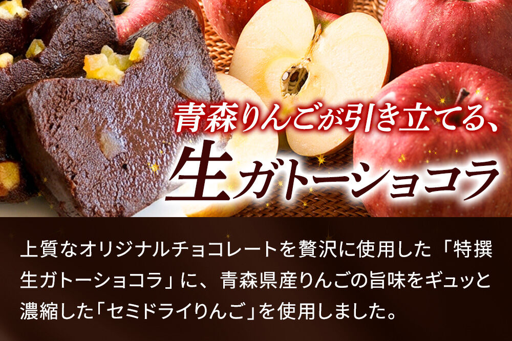 【寄附金額見直しました】青森りんごの特選生ガトーショコラ（グルテンフリー）260g×1個 [ガトーショコラ スイーツ デザート チョコレート グルテンフリー 小麦粉不使用 ご褒美 記念日 プレゼント 