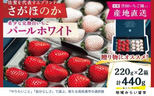 
            【セット】【先行予約｜渋田いちご園】さがほのか&パールホワイト 計440g(220g×各1)
          