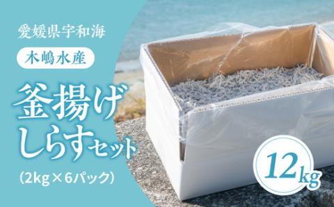 【愛媛県・佐田岬直送】木嶋水産の釜揚げしらす 12kg（2kg×6パックセット）｜ 魚介類 海産物 魚 釜揚げ しらす シラス 小分け やみつき ご飯のお供 おつまみ 酒の肴 おやつ しらす丼 サラダ 海産物 魚 冷凍 国産 愛媛県産　※離島への配送不可