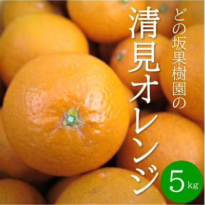 【2026年3月以降出荷】どの坂果樹園の清見オレンジ　5kg(サイズ混合)【1492088】