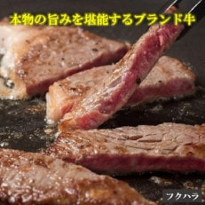 十勝鹿追産牛肉「とかち晴れ」ロースステーキ 500g【1510】