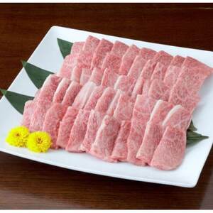 【黒毛和牛】熊本県産 焼き肉用 カルビ 600g(300g×2パック)(益城町)【配送不可地域：離島】【1525199】