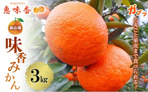 佐賀みかん みかん 味香みかん 3kg 新品種 果皮も美味しく食べられる！フルーツ ※配送不可：離島