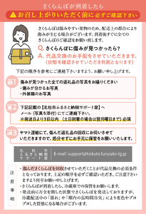 完熟大玉・さくらんぼ（3L～4Lバラ 約500g）【2025年先行予約】 さくらんぼ 3L〜4L 完熟大玉バラ 約500g 【期間限定】 毎日農業記録賞 全国最優秀賞 受賞 紅秀峰 紅秀峰系統 大玉 