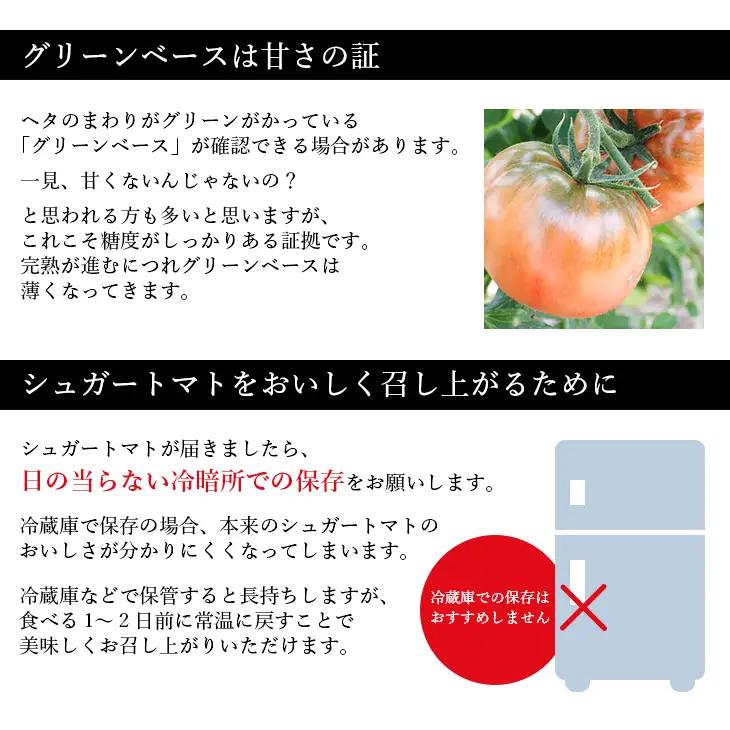 【先行予約・2027年2月】トマト 糖度10度以上 フルーツトマト 1kg｜高知県産 ロッソプレミアム10 高級 ギフト 贈答用 シュガートマト