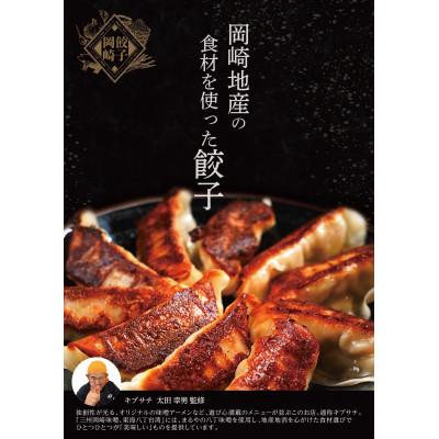 ふるさと納税 岡崎市 岡崎餃子