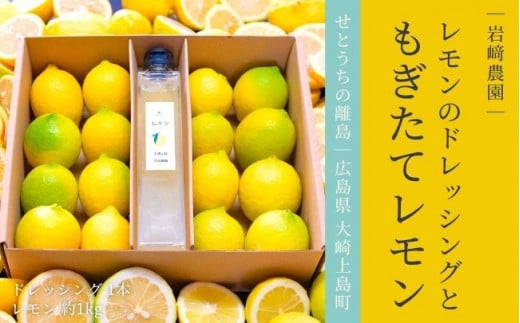 [予約] 1〜3月発送 大崎上島産 レモンのドレッシング＆生果レモン約1kgのギフトセット
