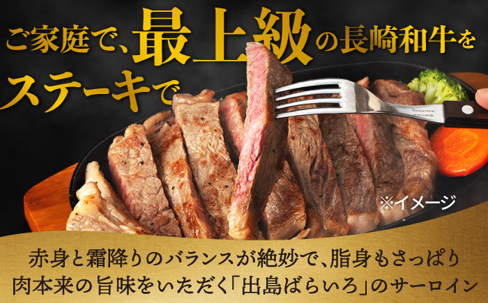 【6回定期便】ヒレ・サーロイン ステーキ2種食べ比べセット 長崎和牛 （計400g以上/回） 【肉のマルシン】 [FG44]