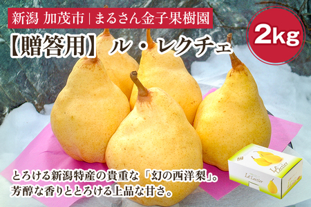【2026年先行予約】【贈答用】ル・レクチェ 2kg（5〜7玉）《12月上旬から順次発送》 果物 梨 洋梨 西洋梨 フルーツ 冬の味覚 デザート 産地直送 加茂市 まるさん金子果樹園 
