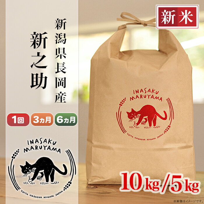 【ふるさと納税】令和7年産 米 新之助 5kg 10kg 定期便 選べる 1回 3回 6回 3ヶ月 6ヶ月 新潟 精米 白米 お米 新潟県長岡産 新之助（稲作まる山）
