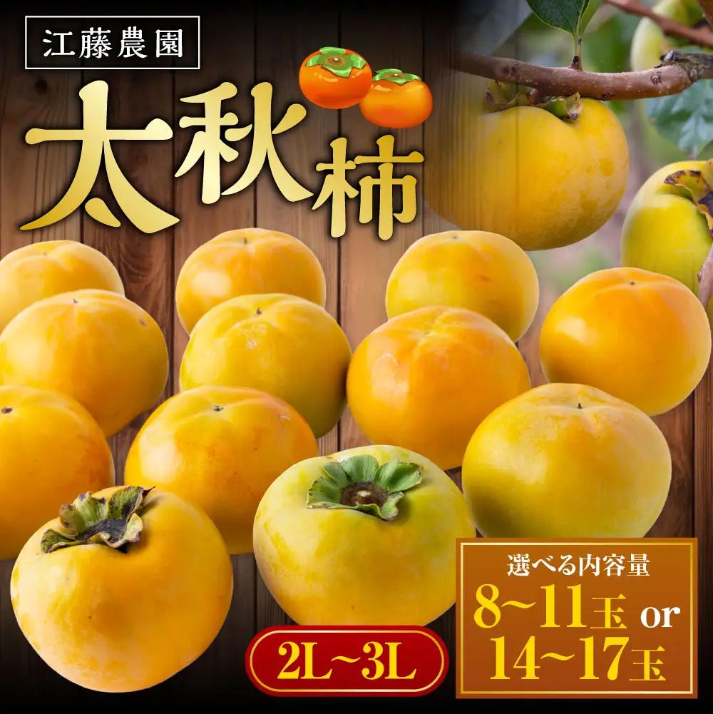 【先行予約】 江藤農園 太秋柿 （2Lから3L） 8玉から11玉 約3kg 【2026年10月下旬から11月上旬 出荷予定】