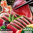 【ふるさと納税】土佐料理司本店 鰹たたき2節セット 約600g（4〜5名分） / かつお 鰹 カツオ かつおのたたき カツオたたき 高知市【株式会社土佐料理司】[ATAD009]