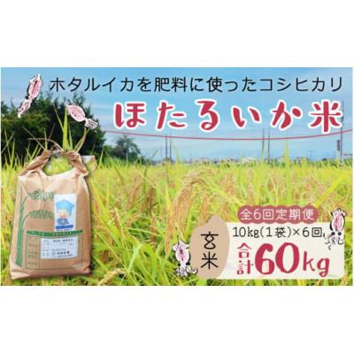 ふるさと納税 滑川市 【毎月定期便】ほたるいか米　玄米　10kg全6回