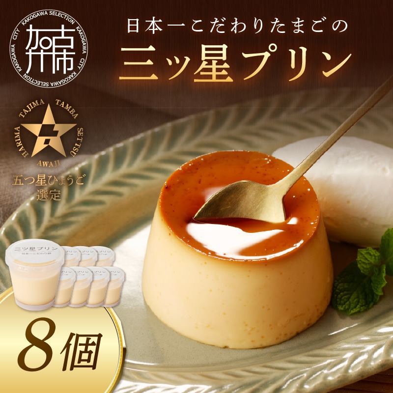 【五つ星ひょうご認定】日本一こだわりたまごの三ツ星プリン(125g×8個)《 プリン 三ツ星プリン こだわりたまご お取り寄せ スイーツ お菓子 デザート 》【2401H12608】