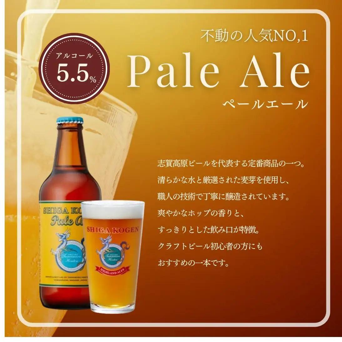 定期便 3ヶ月 クラフトビール 志賀高原ビール 6本 セット 玉村本店 クラフトビール