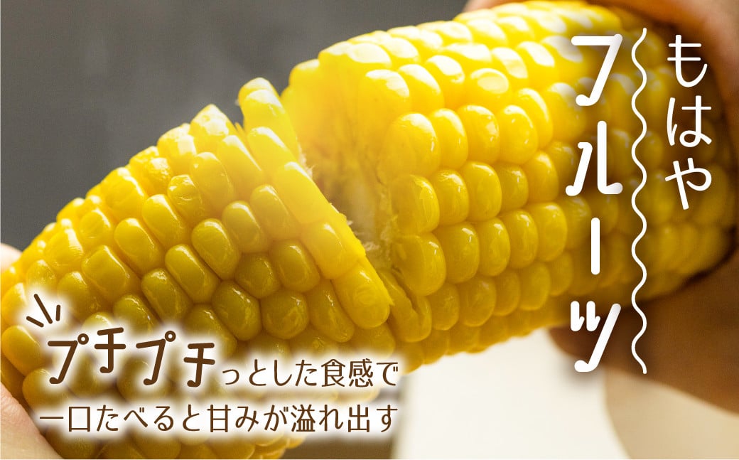 糖度も高く、まるでフルーツのようなトウモロコシです