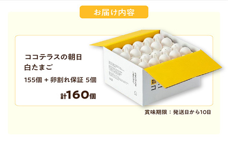 ココテラスの朝日（白たまご）155個 + 5個保証（計160個）