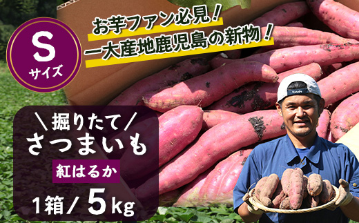 【先行予約：2026年9月中旬配送～】掘りたて さつまいも 紅はるか 5kg Sサイズ (おすそ分け袋／自宅で簡単レシピ付き）FR-202 | 秋の味覚 2026年秋収穫 新物 さつまいも サツマイモ