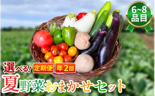野菜 夏野菜 セット 6～8品目 3人～4人用 定期便 年2回 詰め合わせ 茄子 きゅうり ピーマン トマト ミニトマト 白茄子 オクラ 大葉 枝豆 ズッキーニ ししとう とうもろこし パプリカ じゃがいも たまねぎ にんじん サラダ カレー 野菜炒め 森商店 徳島県 吉野川市