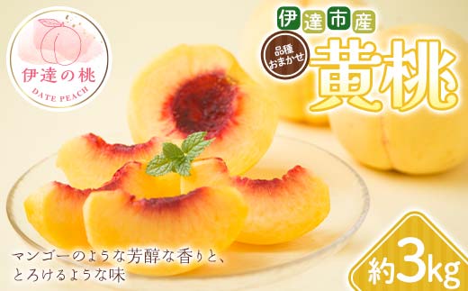 【2026年出荷分先行予約】福島県 伊達市産 黄桃 品種おまかせ 約3kg (6～10玉) 種まきうさぎ株式会社 伊達の桃 桃 フルーツ 果物 もも モモ momo F21C-293