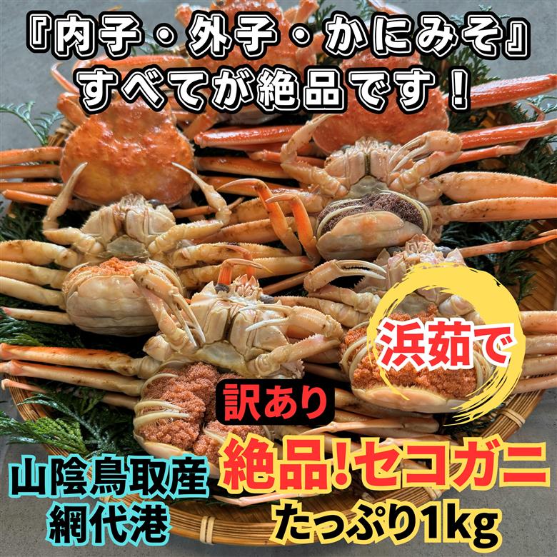 【訳あり】浜茹で！絶品セコガニ1kgセット 鳥取網代港 岩美 ずわいがに かに カニ 日本海 せこがに 親がに 蟹汁 ※お届けは2026年11月中旬～【さかなや新鮮組】【22031】