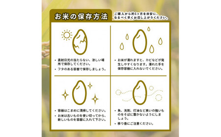 お米 新米 きぬひかり 5kg  新米 令和6年度産 精米済 白米 卵かけご飯 おにぎり 美味しい おすすめ 徳島県 阿波市