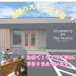 しぼりたて生乳で作った濃厚ミルクジェラート 6個セット ジェラート シャーべット アイスクリーム アイス 生乳 ミルク ジェラート クリーミー デザート 氷菓子 スイーツ 濃厚 冷凍 佐賀県 太良町 