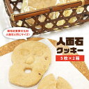 【ふるさと納税】人面石クッキー（2箱） 《壱岐市》【壱岐市立一支国博物館】[JBP001] クッキー プレゼント お土産 ギフト 化粧箱 8000 8000円 のし プレゼント ギフト