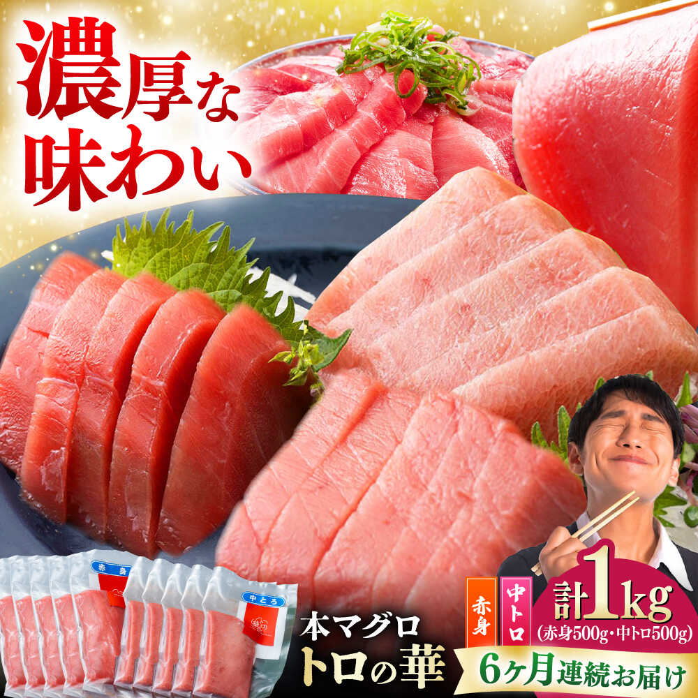 【ふるさと納税】【全6回定期便】対馬産 本マグロ 1kg（赤身500g、中トロ500g） ≪対馬市≫【桐谷商店】 トロの華 対馬 新鮮 マグロ トロ 鮪 刺身 鮮度抜群[WAQ053]