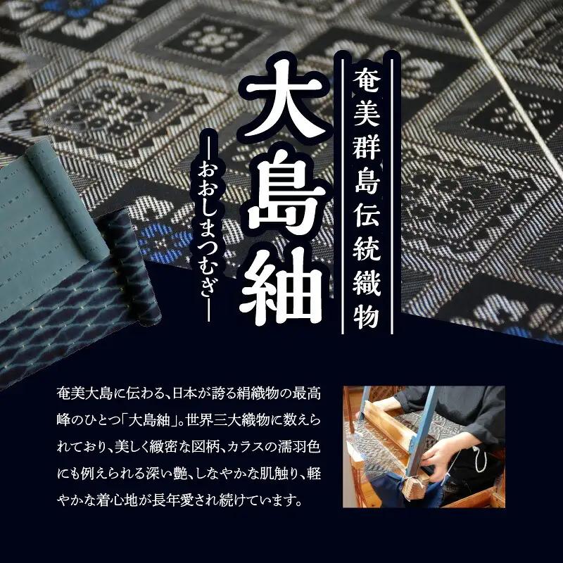 大島紬ファブリックパネル W040-001u 衣類 雑貨 日用品