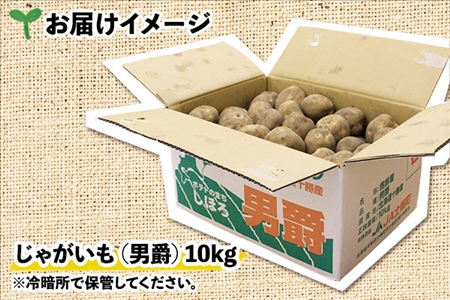 【10月より順次発送予定】北海道 じゃがいも 男爵 10kg 北海道産 十勝産 男爵芋 男爵イモ 男爵薯 ジャガイモ 芋 いも ポテト お取り寄せ まとめ買い 送料無料 十勝 士幌町【V03】