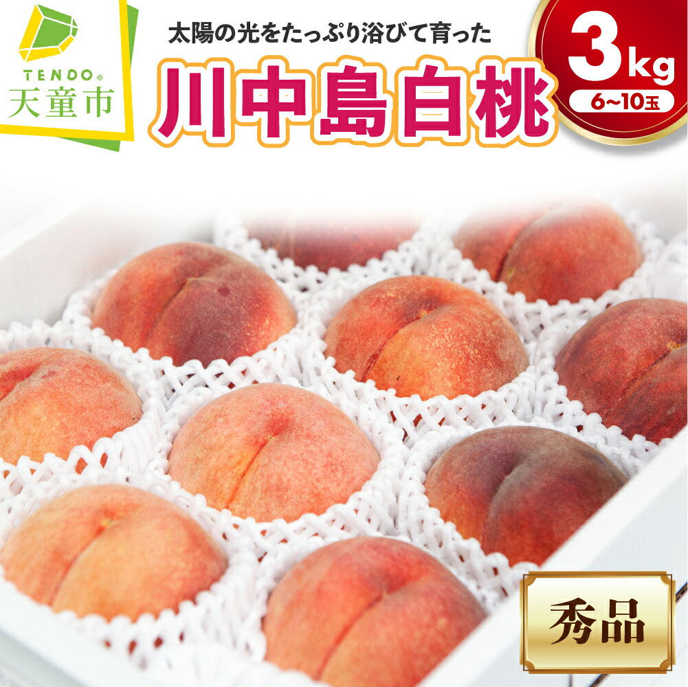 【ふるさと納税】もも ( 大玉川中島白桃 ) 約3kg 山形県産 桃 白桃 果物 フルーツ 秀品 大玉 6～10玉 ご家庭用 のし 贈答 ギフト おすそ分け 旬 夏 秋 期間限定 冷蔵便 送料無料 先行予約 【 山形県 天童市 】