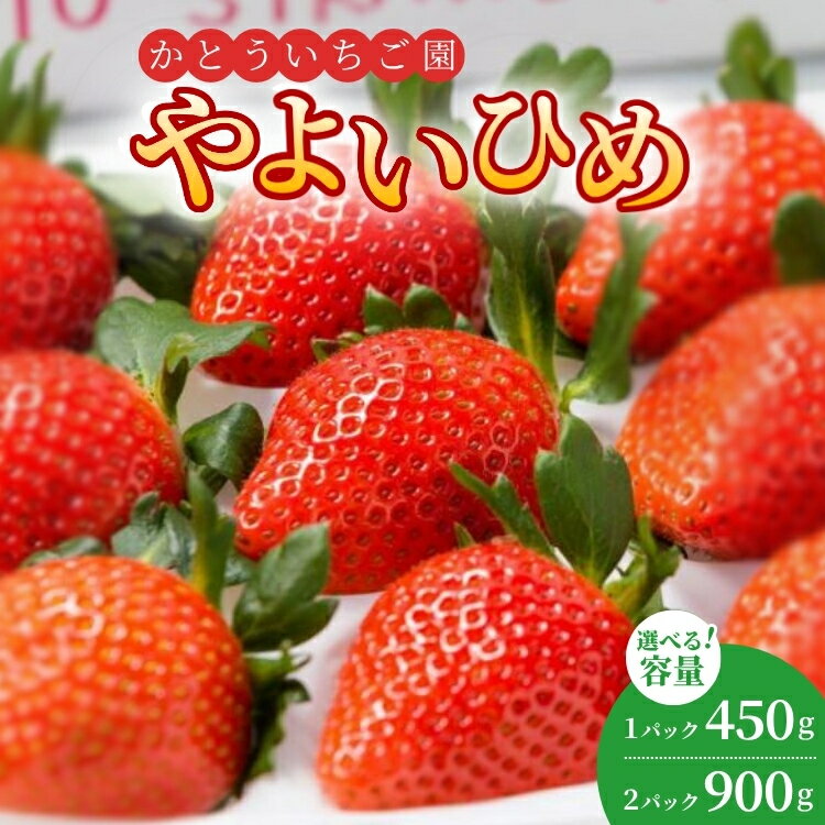 【ふるさと納税】【選べる容量】かとういちご園のやよいひめデラックスパック　1パック・2パック入り ※沖縄・離島への配送不可 ※2026年1月下旬～3月下旬頃に順次発送予定