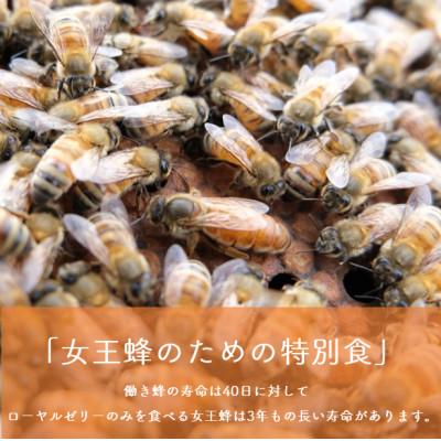 ふるさと納税 あきる野市 はちみつ生ローヤルゼリー　125g |  | 02