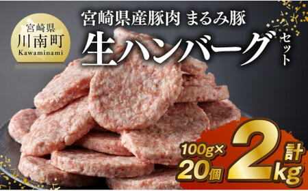宮崎県産豚肉「まるみ豚」生ハンバーグセット計2kg（100g×20個）お手軽 真空パック 豚肉					