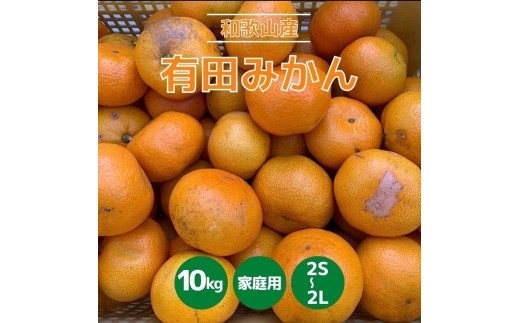 
和歌山県産　有田みかん　10kg　家庭用
